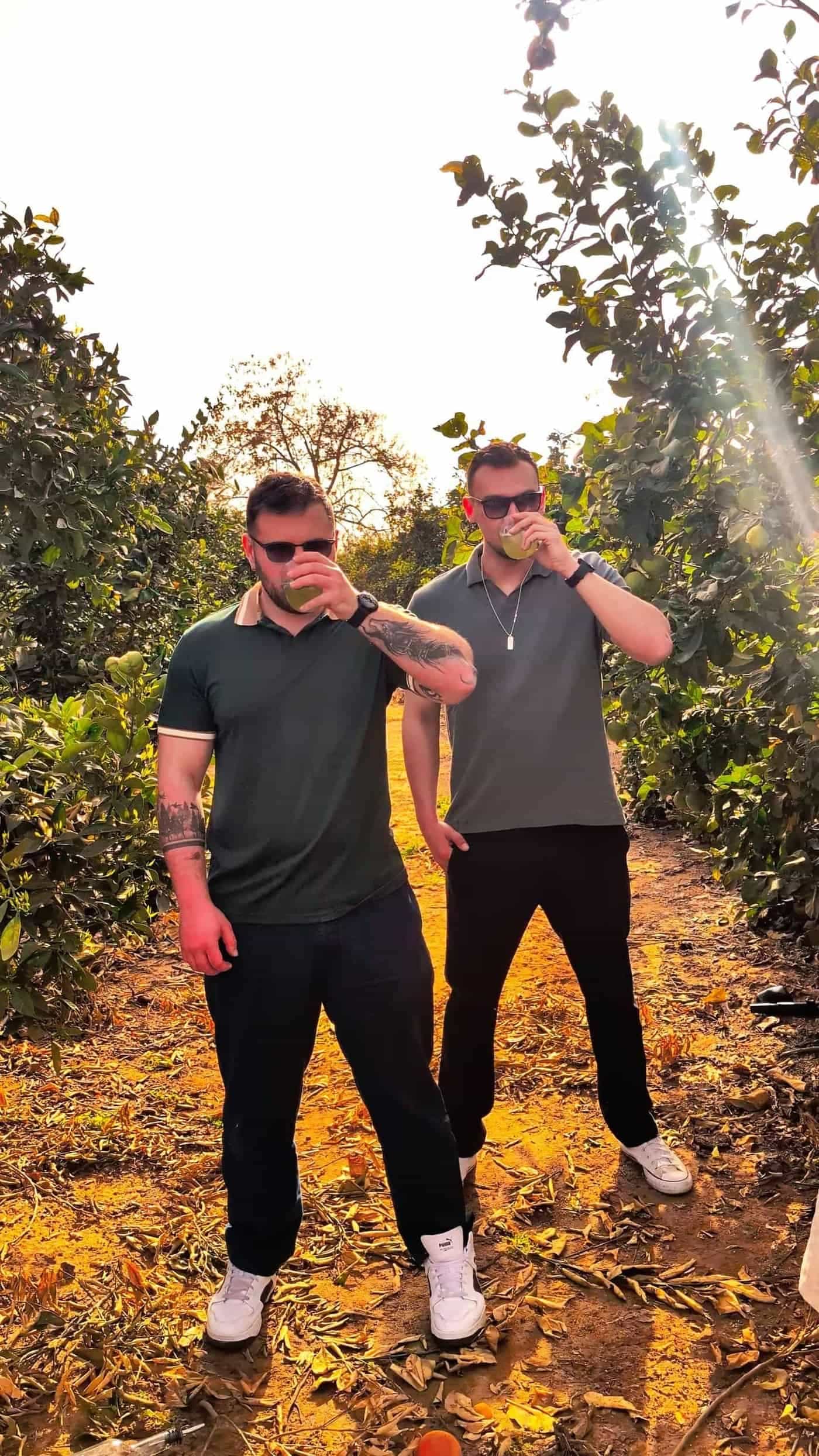 שמפניה על קרח בעיצוב אלגנטי